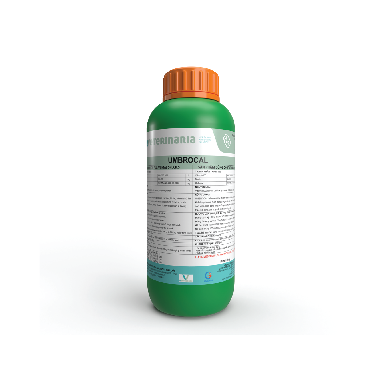 UMBROCAL- TRỨNG TO, VỎ DÀY, XƯƠNG CHẮC, NẶNG CÂN.